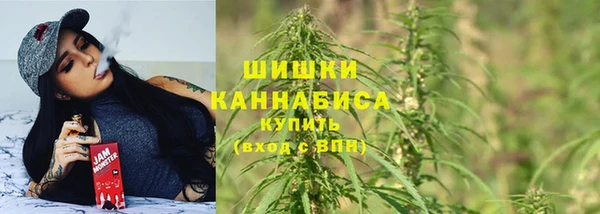 прущий лед Богданович