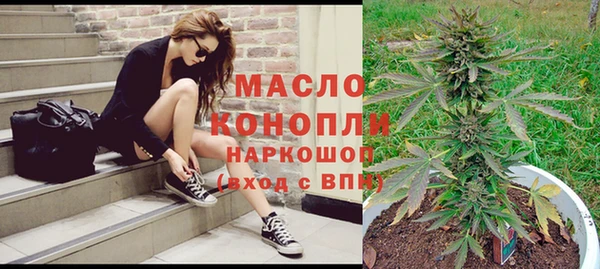прущий лед Богданович