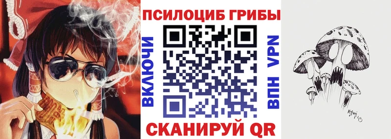 Псилоцибиновые грибы мицелий  где можно купить   Санкт-Петербург 